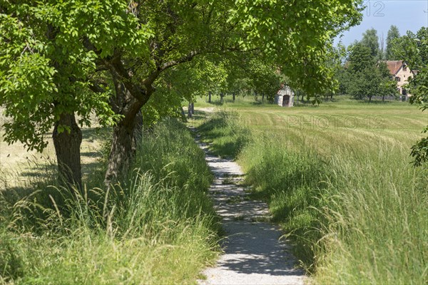 Meadow path in the Franconian Open Air Museum