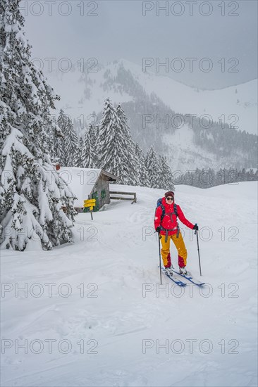Young woman on ski tour in snowfall
