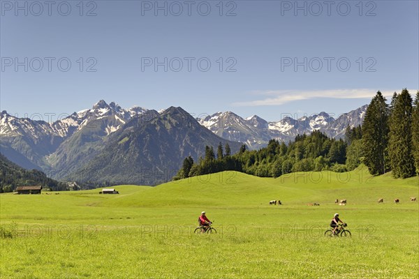 View from the meadows near the village Reichenbach to the mountain panorama of the Allgaeu Alps