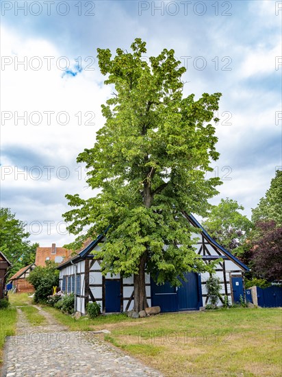 Half-timbered house in the Rundlingsdorf Guehlitz. The village is one of the 19 Rundling villages that have applied to become a UNESCO World Heritage Site. Guehlitz