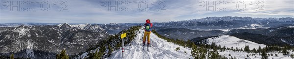 Alpine panorama