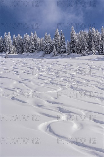 Ski tracks in deep snow on the slope of the Rauhkopf in winter