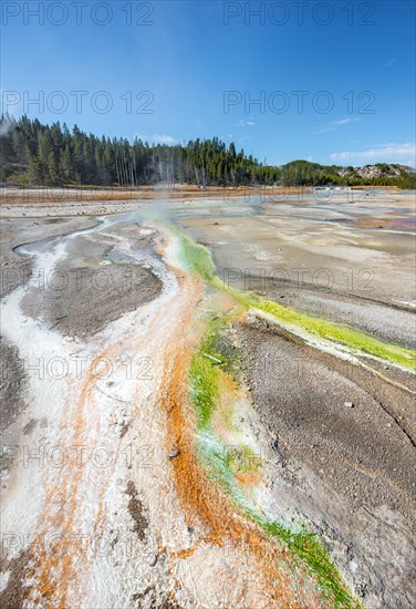 Red mineral deposits and green algae at a thermal spring