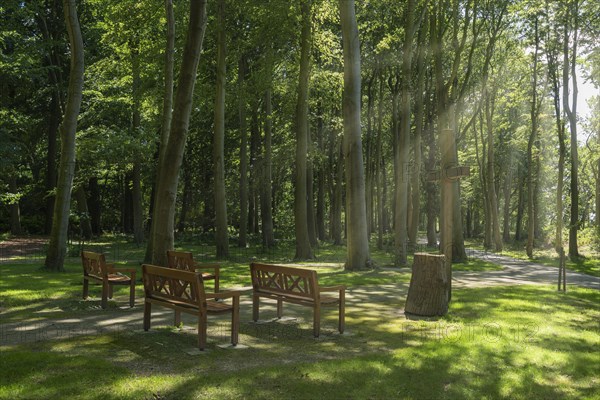 Burial forest Waldfrieden in the castle park