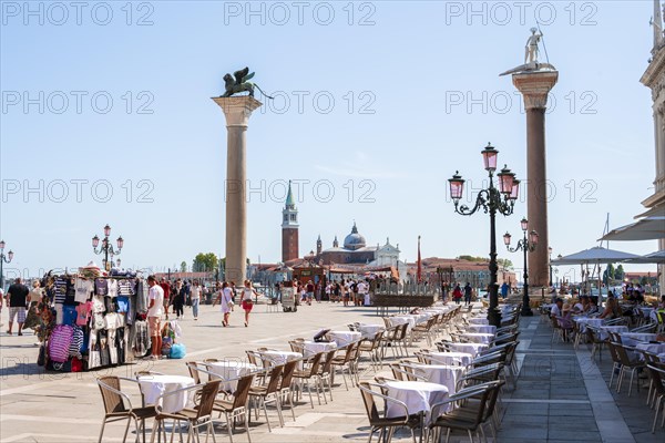 Columns with Marcus Lion