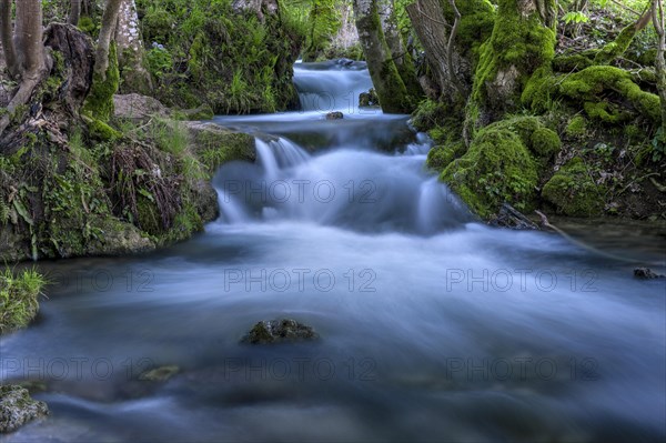 Watercourse Bruehlbach