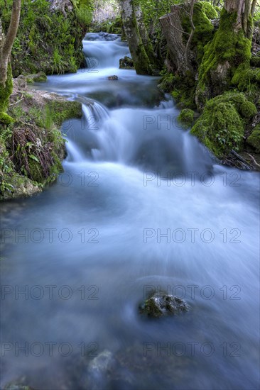 Watercourse Bruehlbach