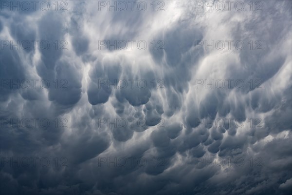 Mammatus