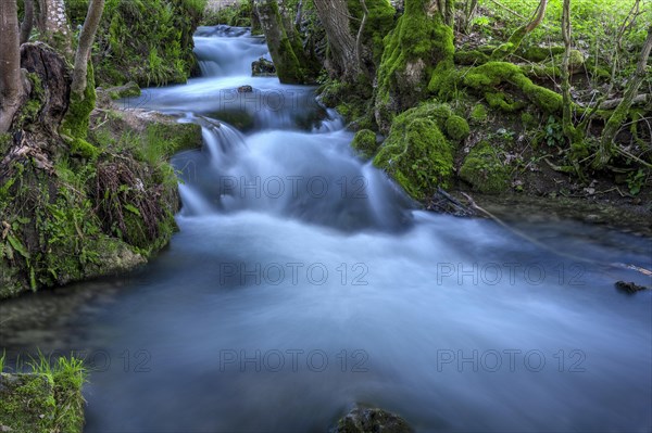 Watercourse Bruehlbach