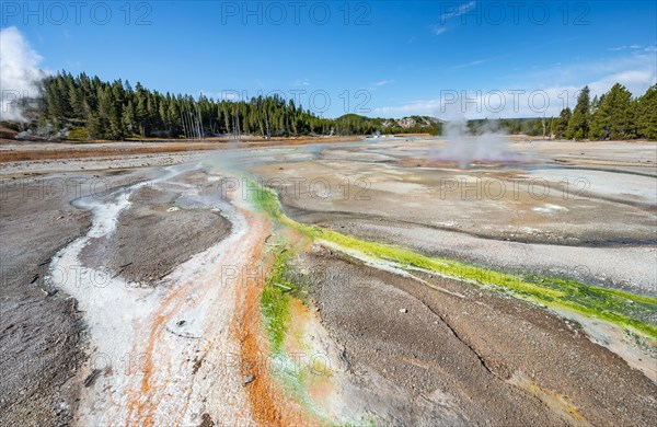 Red mineral deposits and green algae at a thermal spring