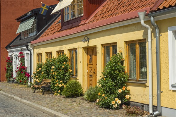 Old houses with roses on a tiny street in the small town of Ystad
