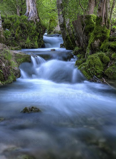 Watercourse Bruehlbach