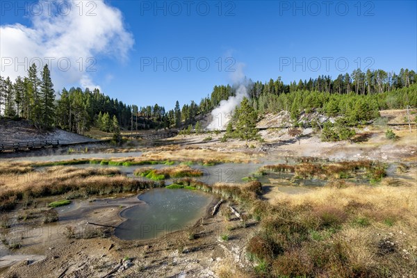 Mud Volcano