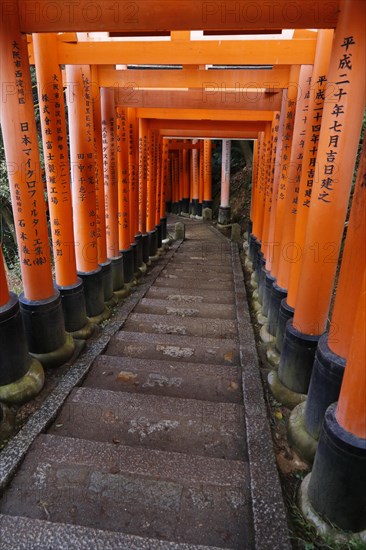 Famous torii gates on the path to Fushimi Inari Taisha shrine on Mount Inari in Kyoto