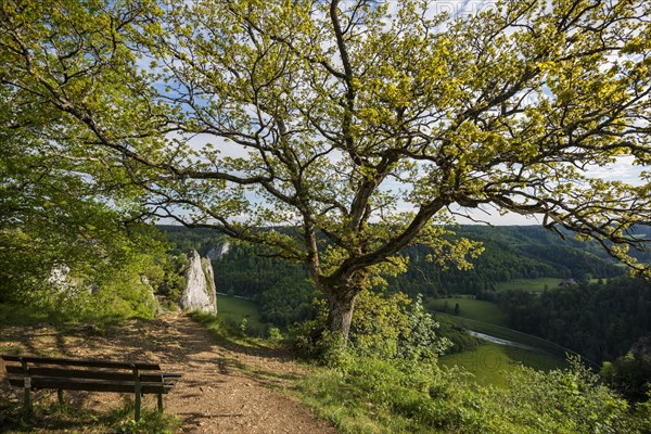 View from Stiegelesfelsen