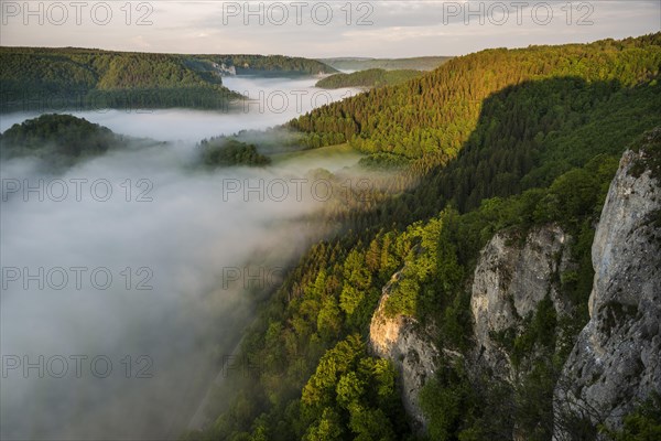 View from Eichfelsen with morning fog