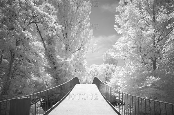 Infrared image