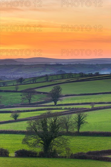 Sunset of the Fields