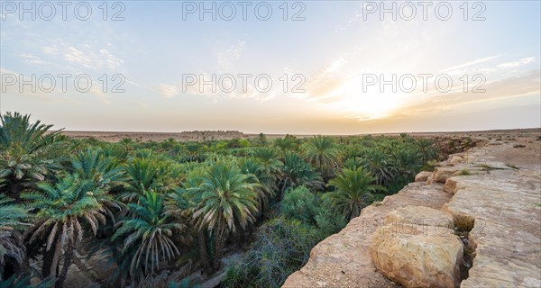 Cliff edge and valley full of palm trees