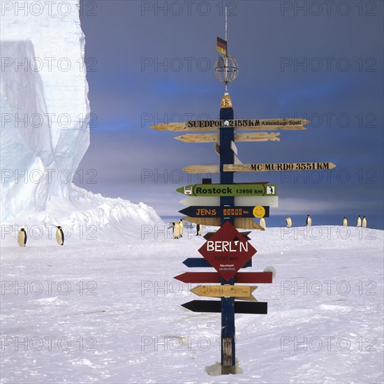 Emperor penguins (Aptenodytes forsteri) walking behind a German Signpost on the ice
