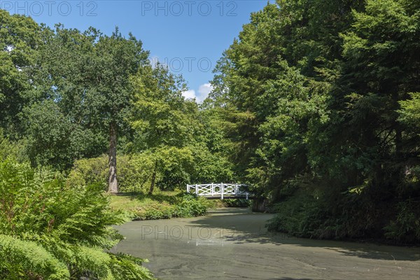 Landscape garden and castle park