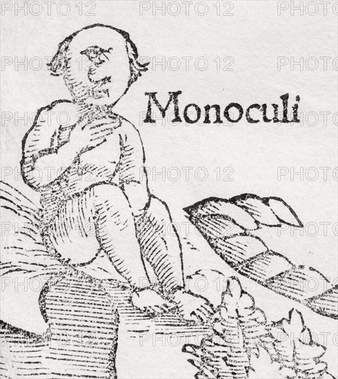 One-eyed Giant (Monoculi)