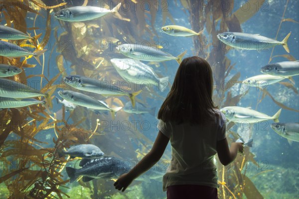 Amazed young girl standing up against large aquarium observation glass