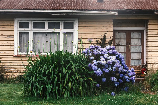 Close-up of house