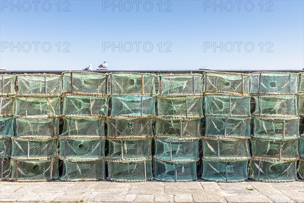 A lot of green traps used in Portugal to catch octopus and crabs