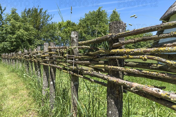 Wooden fence connected with thin branches in wickerwork