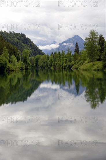 Auwaldsee