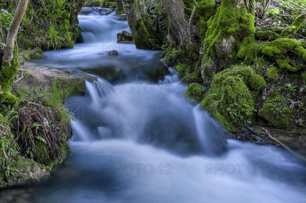 Watercourse Bruehlbach