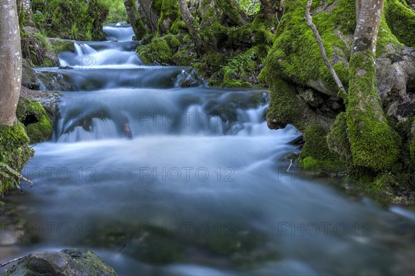 Watercourse Bruehlbach