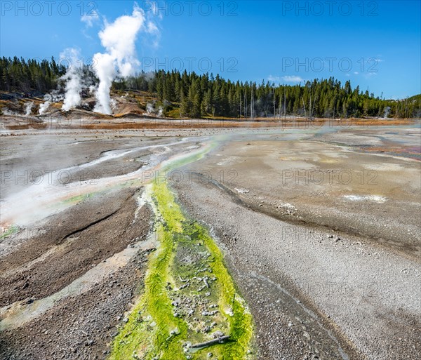 Red mineral deposits and green algae at a thermal spring