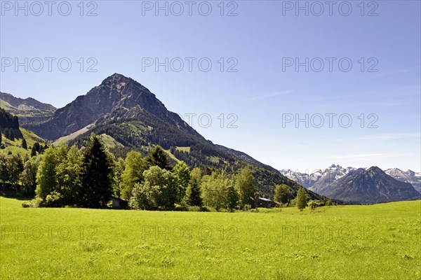 View from the meadows near the village Reichenbach to the mountain Rubihorn 1957 m