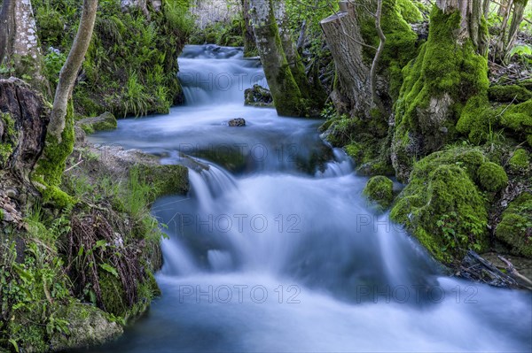 Watercourse Bruehlbach