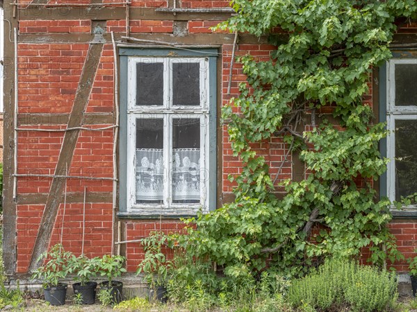 Detail of a half-timbered house in the Rundlingsdorf Guehlitz. The village is one of the 19 Rundling villages that have applied to become a UNESCO World Heritage Site. Guehlitz