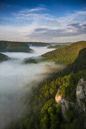 View from Eichfelsen with morning fog