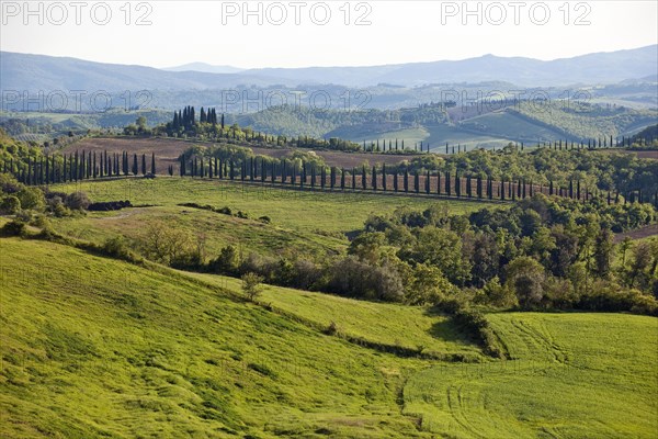 Hilly landscape of Tuscany