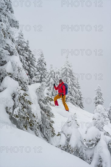 Young woman on ski tour in snowfall