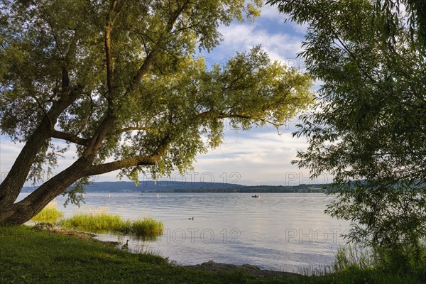 View of Lake Constance from Mettnaupark