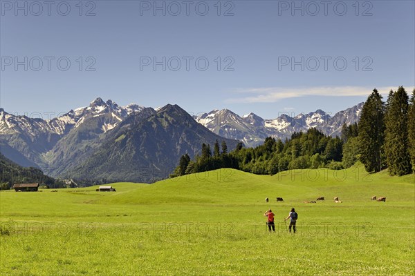 View from the meadows near the village Reichenbach to the mountain panorama of the Allgaeu Alps