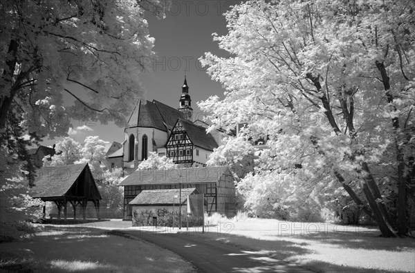 Infrared image