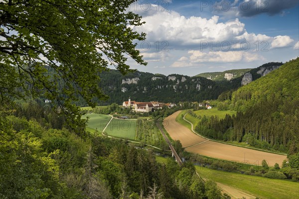 View from the Knopfmacherfelsen to Beuron Monastery