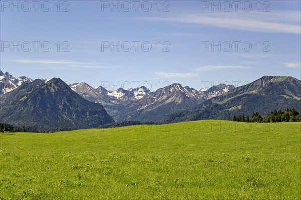 View from the meadows near the village Reichenbach to the mountain panorama of the Allgaeu Alps