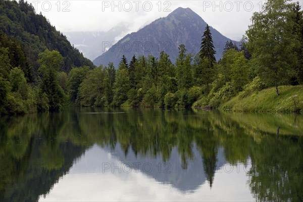 Auwaldsee