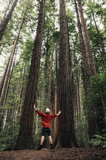 Guy standing between two trees