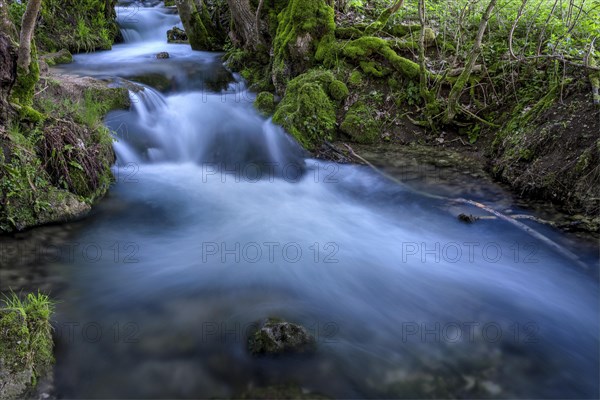 Watercourse Bruehlbach