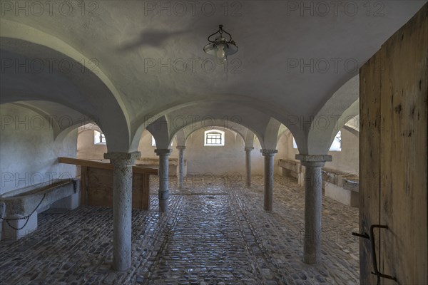 Horse stable in a historical farmhouse 18th century