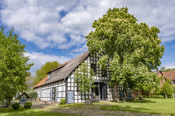 Half-timbered house in the round village Satemin